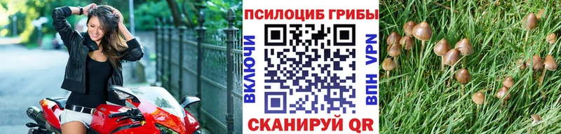 Галлюциногенные грибы ЛСД  что такое   Руза 
